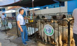 Bozüyük’te kurban satış ve kesim yerlerinde denetim