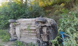Yol kenarındaki yamaca çarptı: 1 yaralı