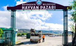 Hayvan Pazarı Önlem Amaçlı Kapatıldı