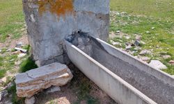 Kırka’da hayvanlar susuz kalmayacak