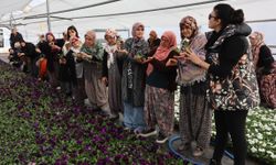 Kadın Çiftçilere Süs Bitkisi Eğitimi