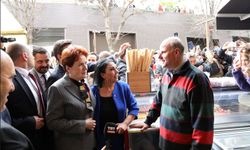 Meral Akşener Eskişehir Esnafından Oy İstedi