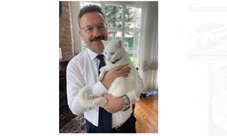 Vali Aksoy Veterinerlerin Günlerini Kedisi Pamuk  İle Kutladı