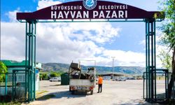 Kurbanlık Satış Başvuruları Başlıyor