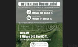 Üreticiye 8 milyon 540 bin 13 liralık tarımsal destek