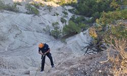 Yamaca sıkışan keçi AFAD ekiplerince kurtarıldı