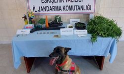 Uyuşturucuya Jandarma Darbesi