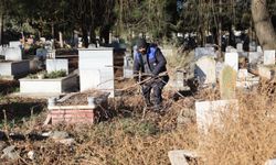 Mezarlıklarda Temizlik ve Bakım Çalışmaları