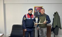 Geyik boynuzu satan şahıs jandarma tarafından yakalandı