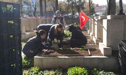 Şehit Mezarları Çiçeklerle Donatıldı