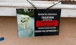 Zehirlenen köpeğin fotoğrafıyla asılan anlamlı not
