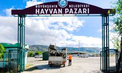 Hayvan Pazarı İçin Yer Satışları Başlıyor