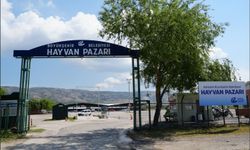 Yeni Kesim Alanı Ve Modern Tesisler Hizmete Girdi