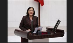 İklim Kanunu Teklifini Anlamak İstiyorsan Alpu Ovası’na Bak!