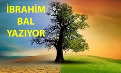 İklim Krizi