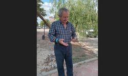 Eskişehir'de zirai don buğday ve arpa üretimini vurdu
