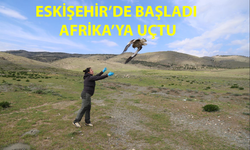 Midas Üçüncü Kez Döndü