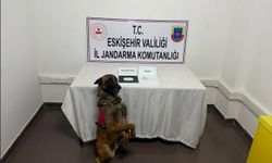 Beyilkova'da uyuşturucu taşıyan şahıs yakalandı