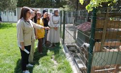 Üniversite Öğrencilerinden Doğal Yaşam Merkezi’ne Ziyaret
