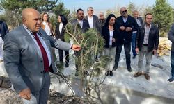 "Bademlik'te binlerce ağaç kesilirken Eskişehir'de değil miydiniz?"