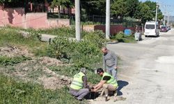 İnönü Belediyesi'nden aydınlatma direği yapım çalışmaları