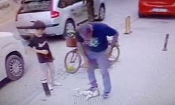 Kucağındaki köpeği yere fırlattı