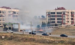 Çöpe atılan sigara izmariti yangın çıkardı