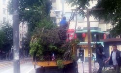 Başkan Vural’dan Hamamyolu’ndaki Ağaç Kesimine Tepki