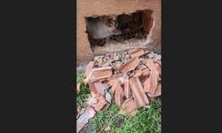 Duvarın içinde mahsur kalan kedi  kurtarıldı