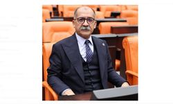 Anayasal Haklara 'Kopyala-Yapıştır'  Cezalar!