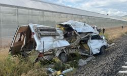 Tren minibüse çarptı: 1 yaralı