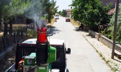 Tepebaşı’nda İlaçlama Çalışmaları Aralıksız Sürüyor