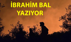 Her Gün Bir Felaket Haberiyle Uyanmaktan Bıktık