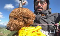 Toby isimli köpek paraşütle atladı