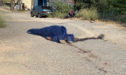 Motosiklet Sürücüsünün Feci Ölüm