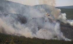 Seyitgazi’de çıkan yangın büyümeye devam ediyor