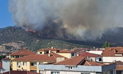 Bilecik'teki Yangın Yeniden Alevlendi