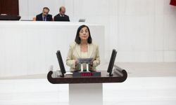 "Doğaya ve geleceğe açık bir ihanet"