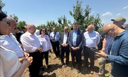 “TARSİM çiftçiyi koruyacak şekilde revize edilmeli”