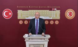 "AKP ‘istibdat dönemini’ sürdürüyor!"