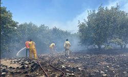 Seyitgazi'de orman yangınına ekiplerin müdahalesi başladı