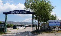 Türkiye’de Hayvan Pazarları Geçici Süreyle Kapandı