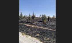 Çukurhisar'da Korkutan Yangın