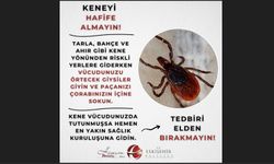 Eskişehir Valiliği'nden kene uyarısı