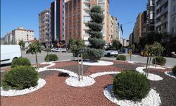 Eskişehir’de Kuru Peyzajla Su Tasarrufu Artıyor