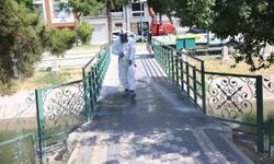 Odunpazarı Belediyesi’nden Keneyle Mücadele