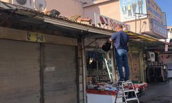 Her gün çatıya tırmanıp kedileri besliyor