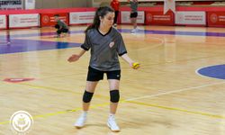 ANALİG Beyzbol 5 Türkiye Şampiyonası Eskişehir'de başladı