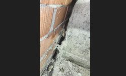 Anne kedi ve 4 yavrusu sıkıştıkları yerden kurtarıldı