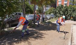 Yemyeşil Bir Tepebaşı İçin Çalışmalar Sürüyor